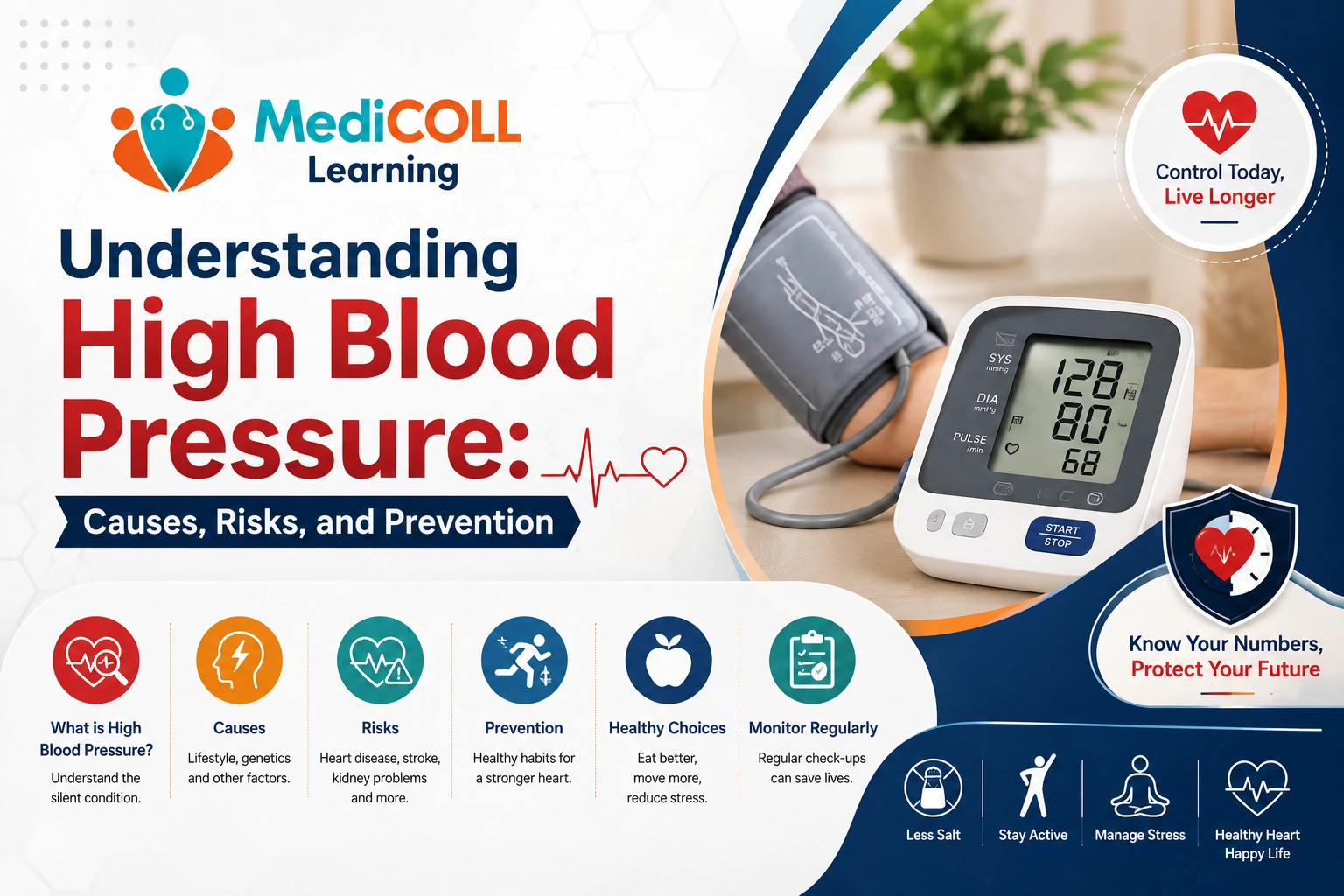 Understanding High Blood Pressure: Causes, Risks, and Prevention